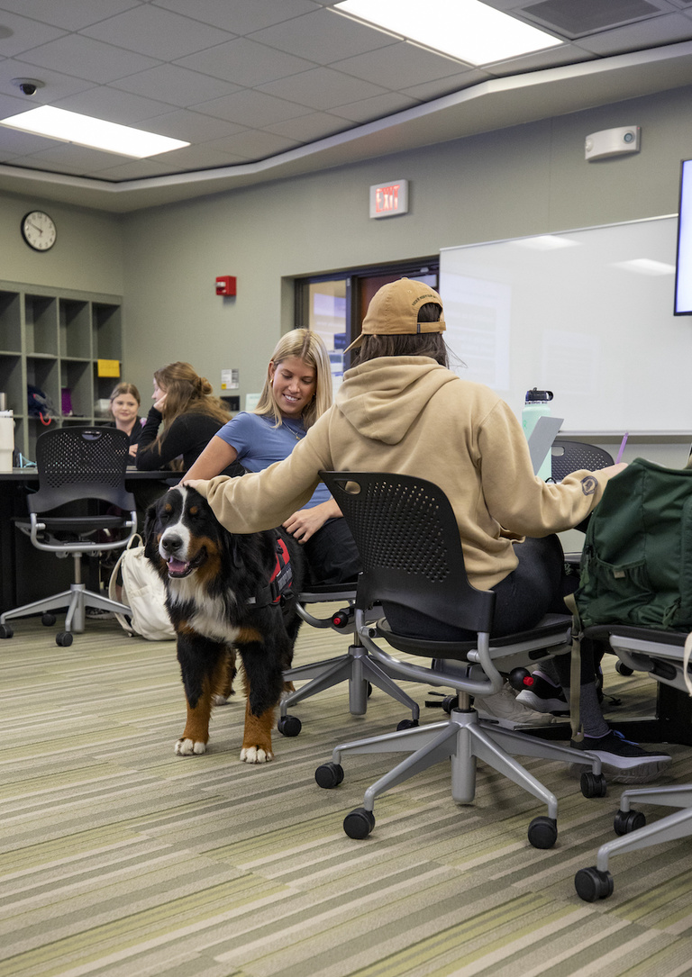 Therapy dog, Drax, in a classroom 