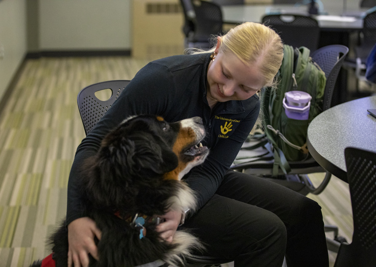 Therapy dog, Drax, looking up at a seated person